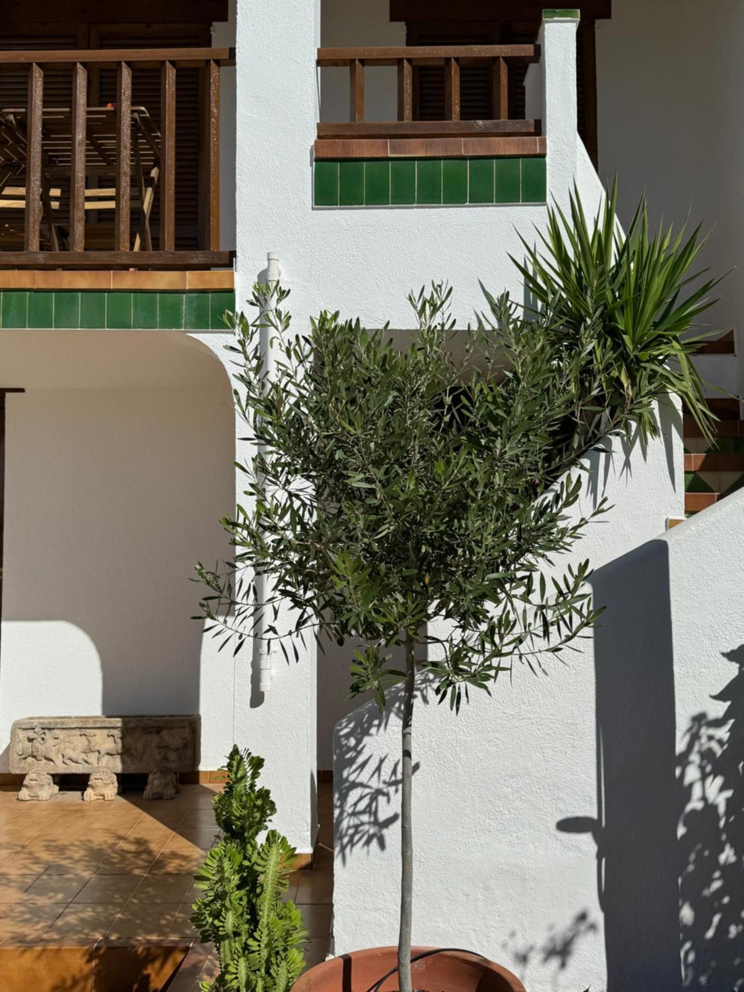Espectacular Sunny House In The Beach Cunit Exteriér fotografie